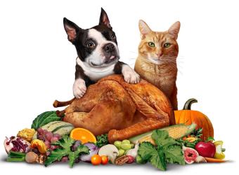 Yes! Your Pets Can Share in Your Thanksgiving Celebration