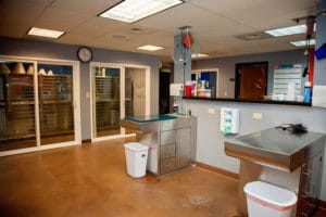 Boarding Room and Treatment Area